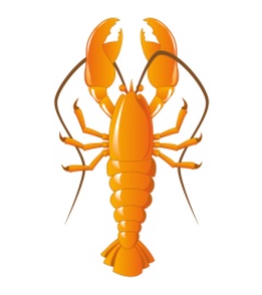 Lobster – Ilustración gráfica realizada mediante vectores.